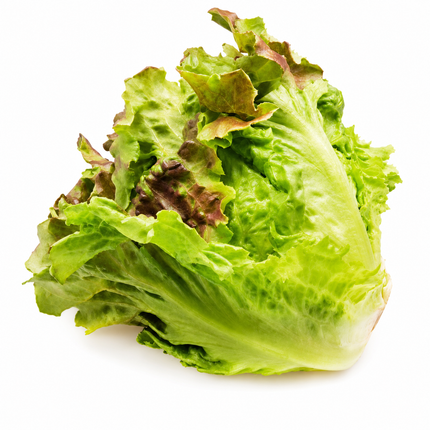 Lechuga Variedades x Unidad | Apishop