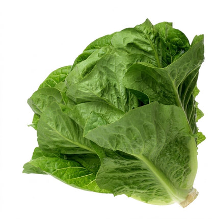 Lechuga Variedades x Unidad | Apishop