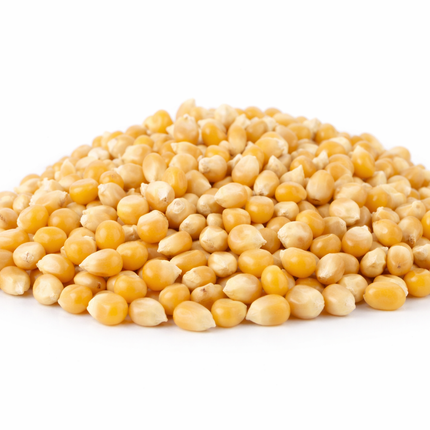 Maíz palomitas| Vegago Chile