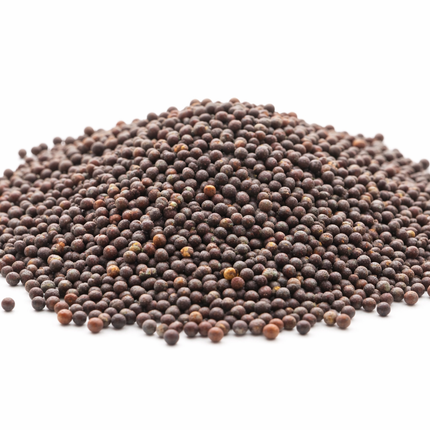 Semilla Mostaza Negra 100 gramos | Vegago Chile