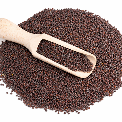 Semilla Mostaza Negra 100 gramos | Vegago Chile
