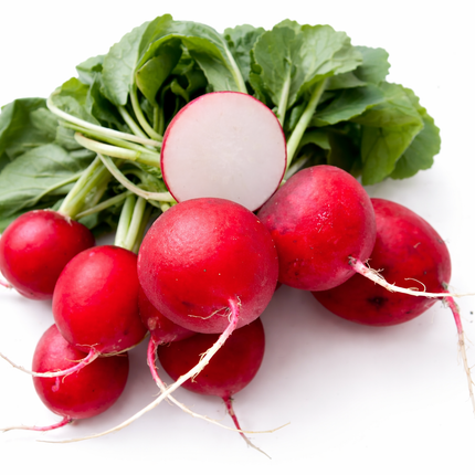 Rabanito