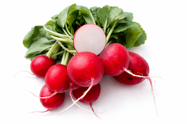 Rabanito