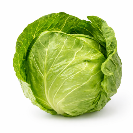
Repollo