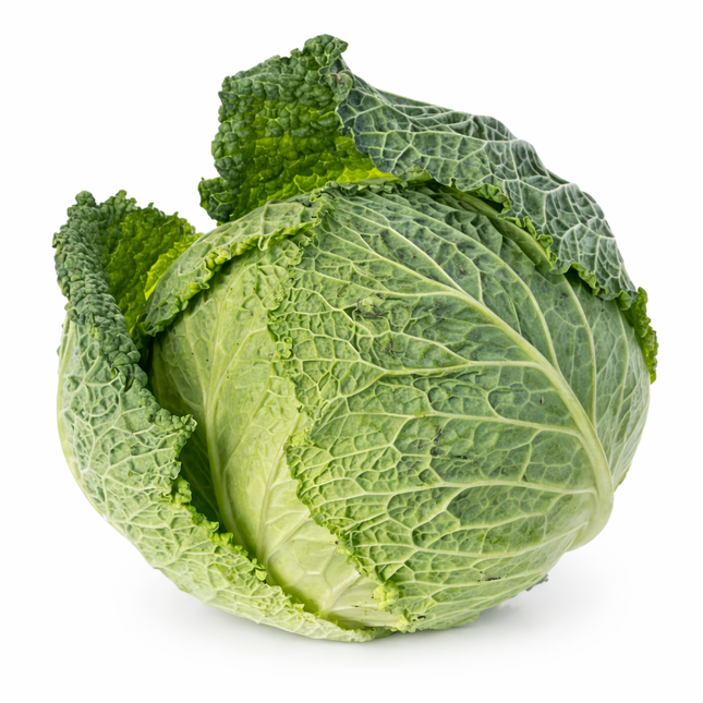 
Repollo