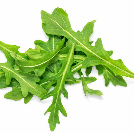 Rúcula | Vegago Chile