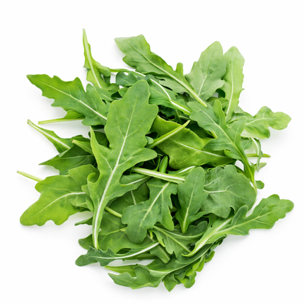 Rúcula | Vegago Chile