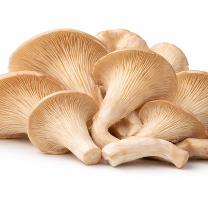 shampinonshitake